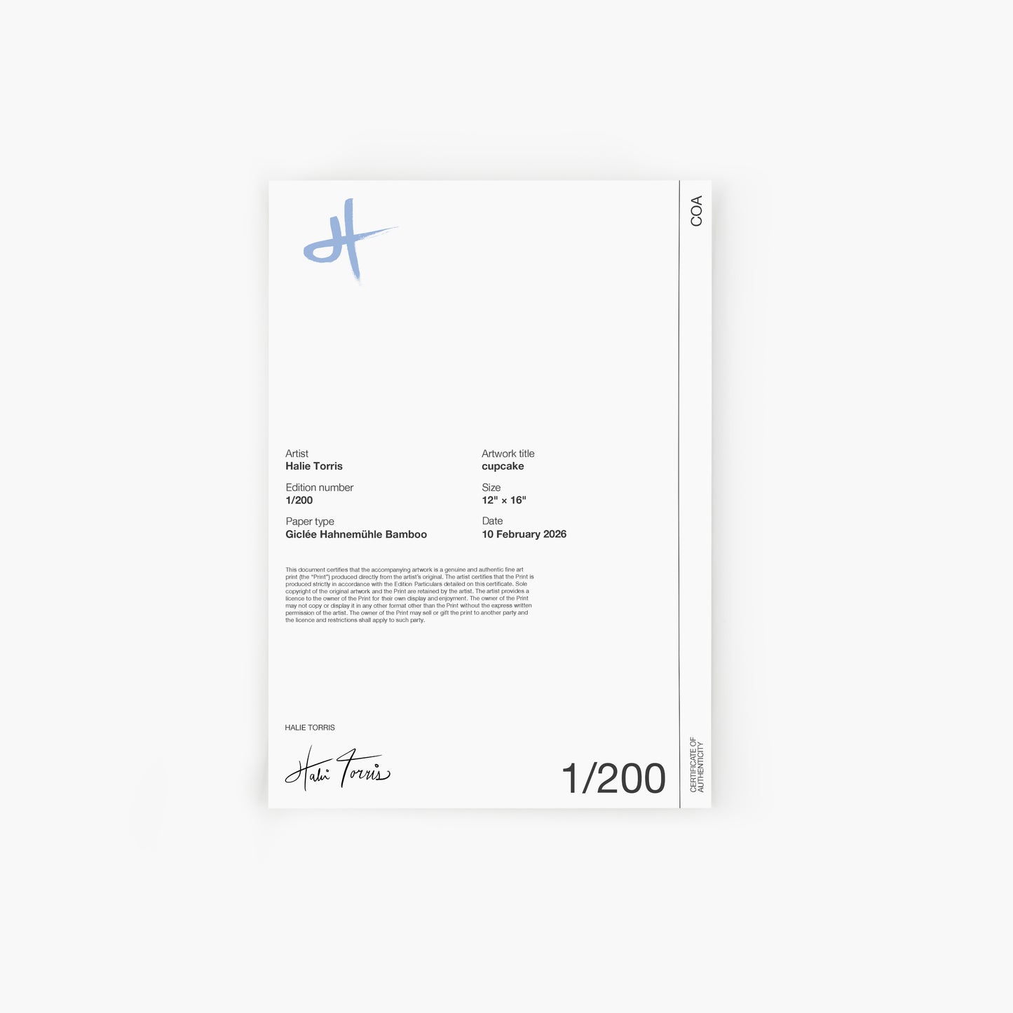 cupcake collector's set